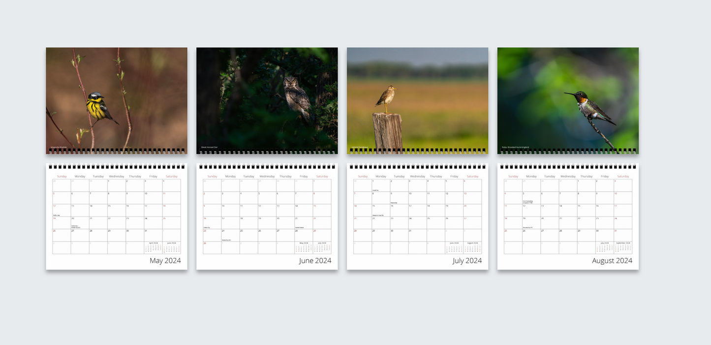 2024 "Birds of Manitoba" Wall Calendar