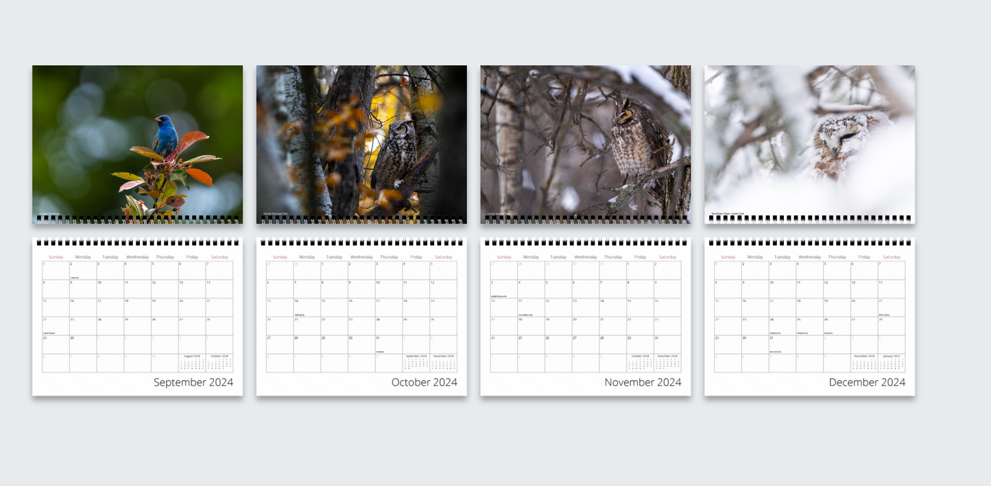 2024 "Birds of Manitoba" Wall Calendar
